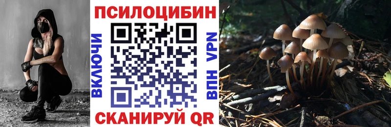 darknet телеграм  Петров Вал  Псилоцибиновые грибы ЛСД  купить наркоту 